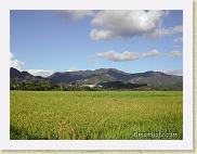 riz 08 * Rizières et montagnesRicefields surrounded by mountains
©Eric Mathieu * 800 x 600 * (68KB)